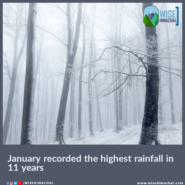 January recorded the highest rainfall in 11 years