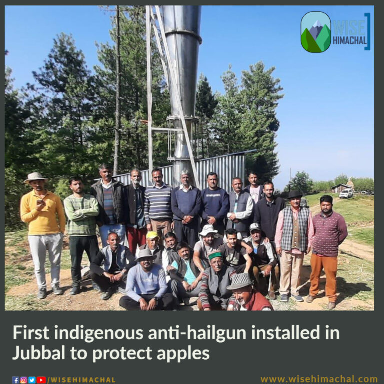 First indigenous anti-hailgun installed in Jubbal to protect apples