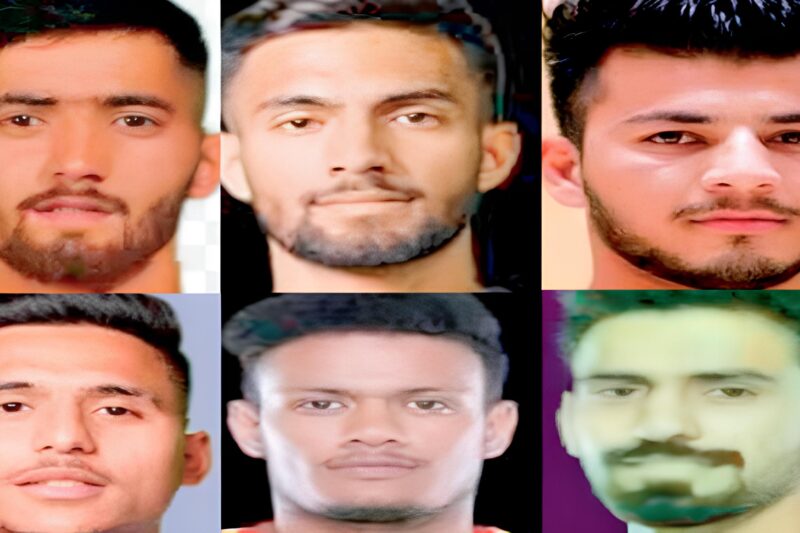 pro kabaddi himachal players