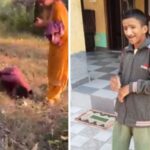 hamirpur sasan ranjna devi