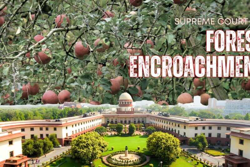 Supreme Court saves illegal apple orchards on forest land: A victory for encroachers or environmental suicide for Himachal?