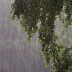 himachal pradesh weather