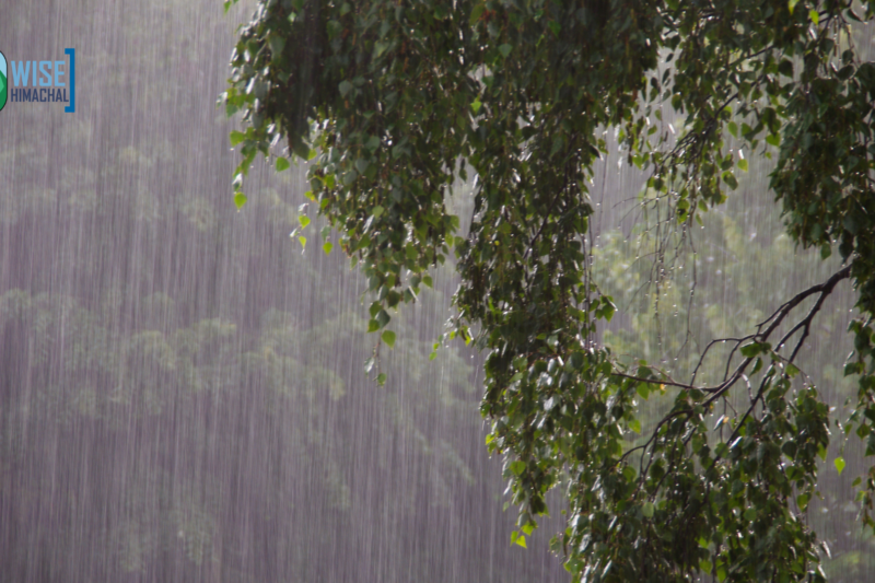 Heavy to very heavy rainfall likely in Himachal from July 19–22, IMD Shimla issues alert